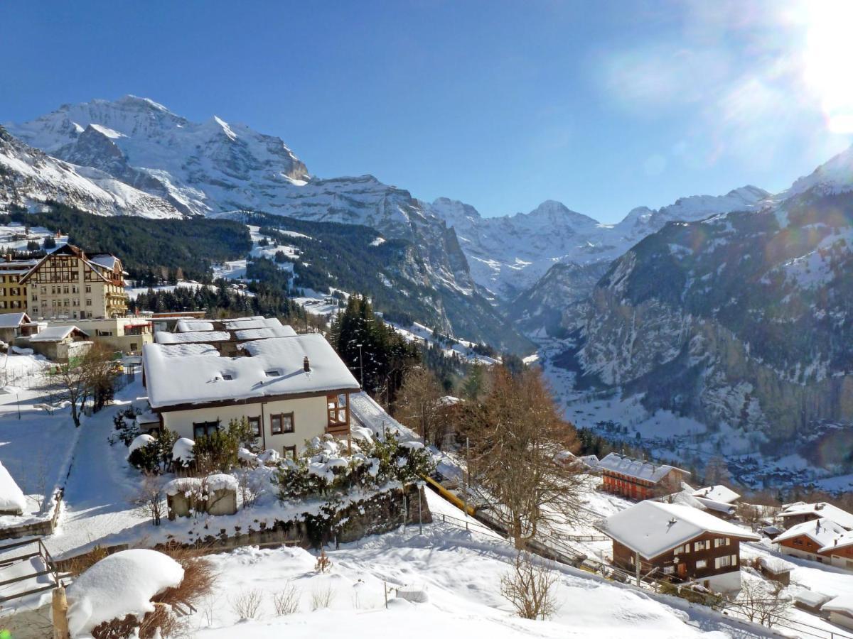 Apartment Panoramapark Soleil Haus D Apt 3 By Interhome Wengen Luaran gambar